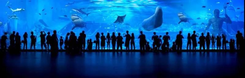 /uploads/image/2020/07/10/正2.jpg 正2.jpg