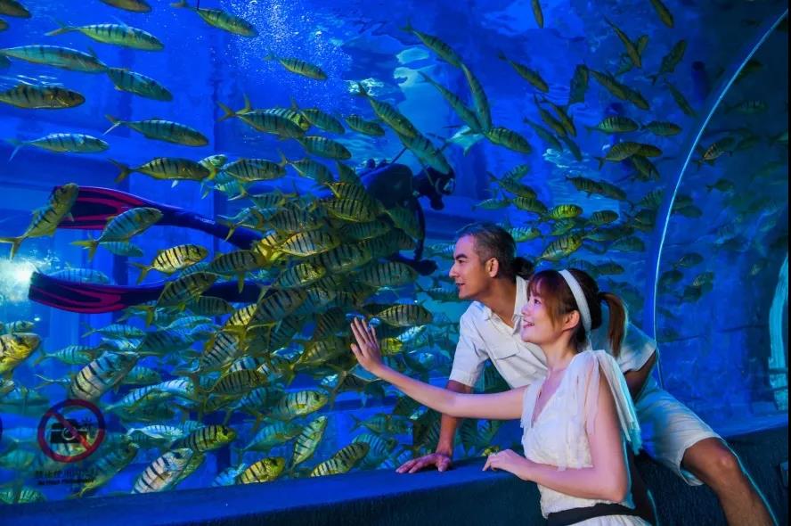 /uploads/image/2020/07/10/正5.jpg 正5.jpg