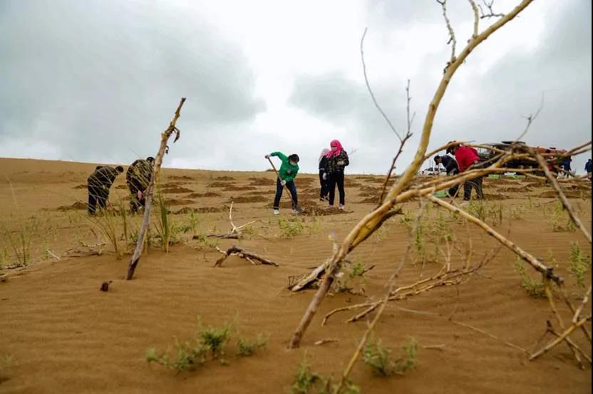 /uploads/image/2020/10/16/205.jpg 205.jpg