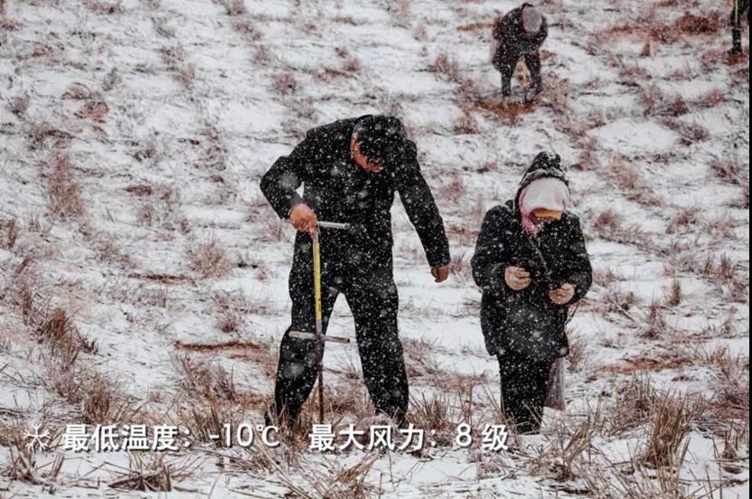 /uploads/image/2020/10/16/206.jpg 206.jpg