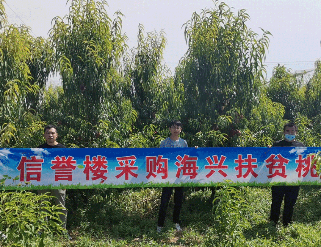 /uploads/image/2020/12/22/信4.gif 信4.gif