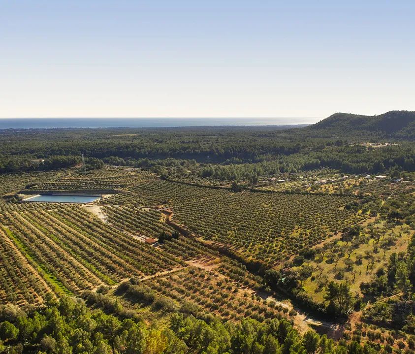 /uploads/image/2021/02/18/21805.jpg 21805.jpg